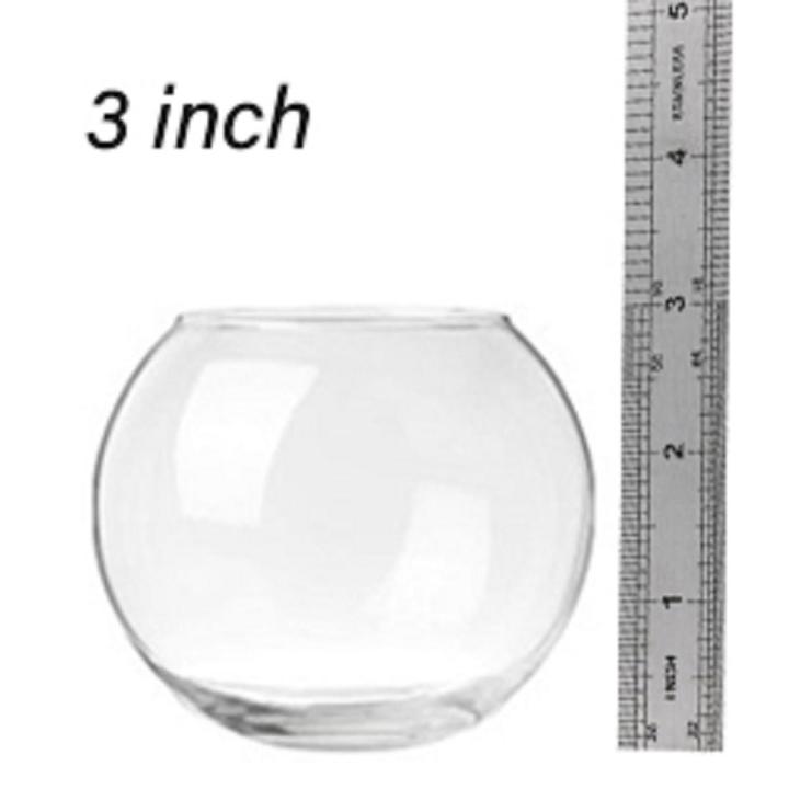 Transparent Fish Glass Bowl 3 inch Fish jar Fighter Fish Jar | Daraz.com.bd