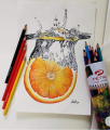 Petra 12 Pcs Water Color Pencil Round Tin with brush. 