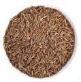 Zeera/ Cumin 100gm(Premium). 