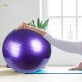 Yoga Ball, Balance Ball, Anti Burst Slip Resistant Thickened Stability Ball for Woman, Training, Competition, Practice Fitness Ball.