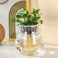 Mini Hydroponic Flower Pot Fish Tank Transparent Plastic Soilless Plant Pots Podazz. 