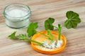 Root Hormone Cutting Aid 15g jar 1 pcs (Same As Picture). 