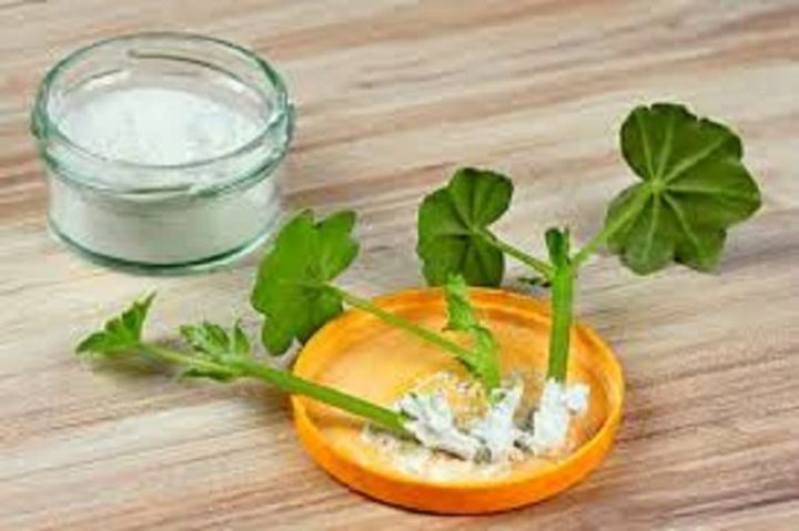 Root%20Hormone%20Cutting%20Aid%2015g%20jar%201%20pcs%20(Same%20As%20Picture)%20-%20Image%204