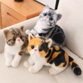 26cm Stuffed Lifelike Cats Plush Toy Simulation American Shorthair Cute Cat Doll Pet Toys Home Decor Gift For Girls Birthday. 