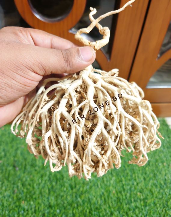 Flower of Maryam Buti, Ease Labour Pain Plant Herb Nabi, moriom full (C13)