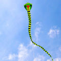 large snake kite cobra kite with handle line outdoor toys for adult bird kite. 