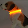 FANGAN Safety for Small Medium Large Dogs Flashing Pet Supplies Luminous Dog Collar Dog Necklace Light Up Collar LED Dog Collars. 