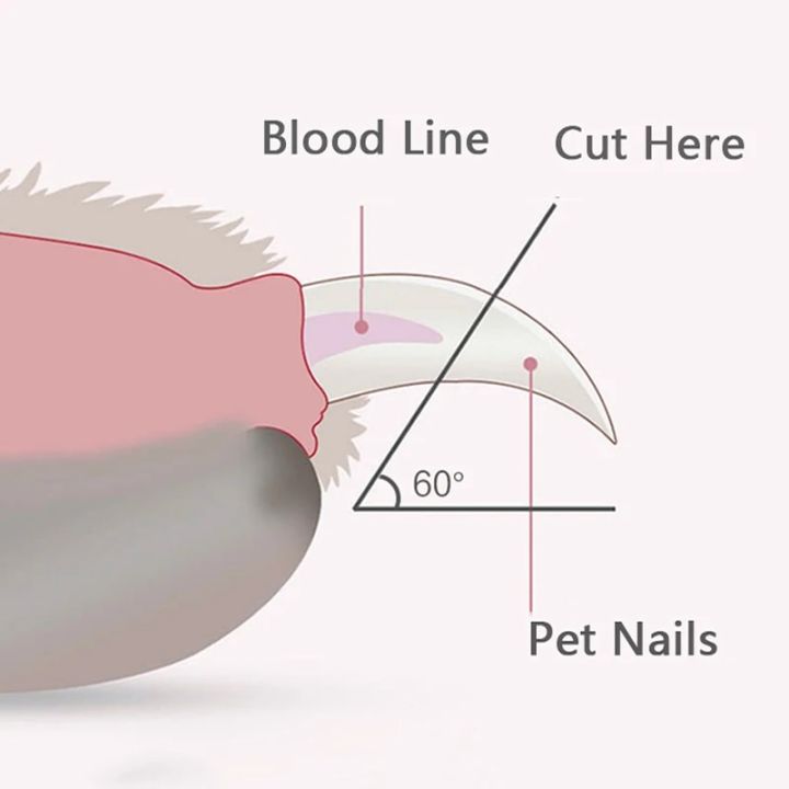Professional%20Pet%20Nail%20Clippers%20with%20Led%20Light%20Pet%20Claw%20Grooming%20Scissors%20for%20Dogs%20Cats%20Small%20Animals%20Paw%20Nail%20Trimmer%20Pet%20Supply%20-%20Image%205
