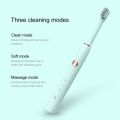 Sonic Electric Toothbrush D8081 Waterproof USB Type-c Rechargeable Toothbrushes 2 Heads.