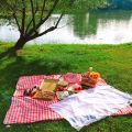 Individual Country Style Wicker Picnic Basket Hamper with Lid and Handle & Liners for Picnics, Parties and BBQs. 