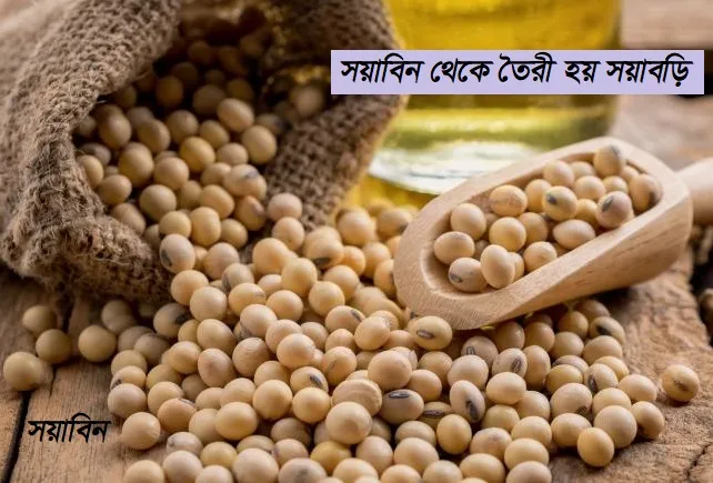 Soya%20Bori-%201%20Kgm/%20Vegetarian%20Soybean%20Bori%20-%20Image%204