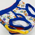 Pack of 5 Pcs Assorted Multicolor Super Soft Ribbed Brief Style Boys Underwear From Levin.