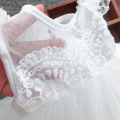 Baby Birthday Princess Dress Elegant Girl Embroidery Flower Beaded White Baptism Tutu Gown Kids Formal Evening Party Costume. 