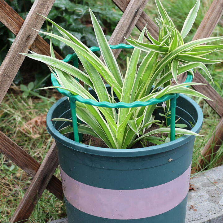 Plastic%20Plant%20Support%20Pile%20Half%20Round%20Climbing%20Vines%20Stake%20Bonsai%20Fixing%20Rod%20Garden%20Plant%20Stake%20Holder%20Flower%20Ring%20Support%20Rack%20-%20Image%206