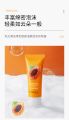 BIOAQUA Papaya Purifying Instant Moisturizing Cleanser-100ml.