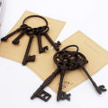 Pirate Treasure Chest Keys Set,Key Ring Antique Style,Rustic Cast Iron Skeleton Key Wall Decor, Costume Prop (5 Keys). 