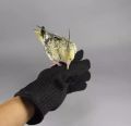 1 pair Anti-Bite Biteproof gloves for training your bird. 