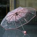 Flower Print Transparent Ladies Folding Umbrella. 