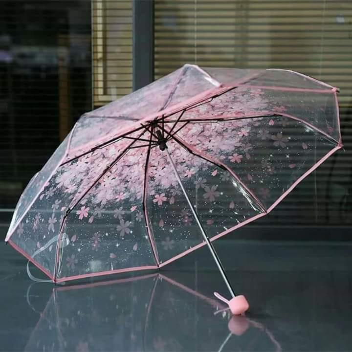 Flower Print Transparent Ladies Folding Umbrella