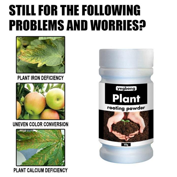 Garden%20Safe%20Rooting%20Hormones%20Fertilizer%20For%20Plant%20Root%20Nutrient%20Helps%20New%20Plants%20Grow%20From%20Cuttings%20For%20Professional%20Growers%20-%20Image%202