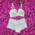 Exported Lace Panty Bra Combo Set for Women, Silk and Net Material, Elegant Lingerie Set. 