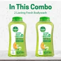 Dettol Lasting Fresh Bodywash with 12 Hour Odour Protection (250ml X 2). 