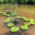 Solar Fountain Pump Solar Powered Bird Bath Fountain Pump Solar Panel Kit Water Pump Outdoor Watering Submersible Pump.