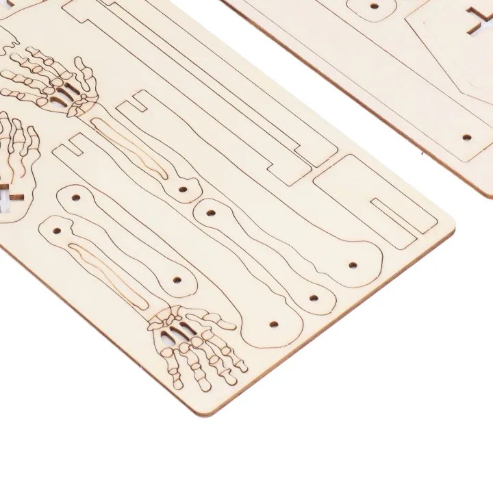 Human%20Skeletal%20Assemble%20Model%20Composite%20Wood%20DIY%20Skeleton%20Crafting%20Educationa%20US%20-%20Image%205