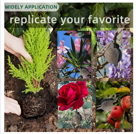 New%20Garden%20Plant%20Root%20Observation%20Kit%20with%20Half%20Transparent%20and%20Half%20Black%20Watering%20Propagation%20Box%20-%20Image%204