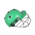 Cricket Helmet - Green. 