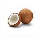 Dry Coconut Seed 1 peices 800gm-1000gm Big size. 