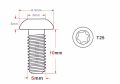 Bicycle Brake Rotor Disc Bolts Screws L Nuts T25 Cycle Bicycle Brake Disc Bolts Screw 6Pcs. 