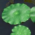 Floating Lotus Leaf Artificial Lotus Leaf Garden Pond Water Pond Tank Flower Decoration Plant Water Lily Leaf. 