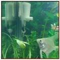Mini DC Water Pump 120L/H DC 5V~6V Operate for Aquariam DIY Auto Handwash. 