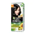Garnier Color Naturals Shade 1 Natural Black 70ml+60g.