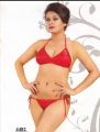 New Women's Wrap Top Floral Bottom Bathing Suit Two Piece Sexy Swimsuit -Indian Exclusive Bikini Set for Women.. 