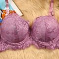 Best Bra Lavender Net Foam Paded Bra for Women & Sexy Girl and Beautiful Girls - Bra S.