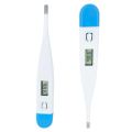 fever checking Digital Thermometer for  body temperature. 