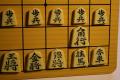 NYT Japanese Chess: Folding Travel Magnetic Shogi Set- 9.75``. 