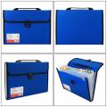 TRANBO Plastic File Folder with 12 Pockets, Handle, Index Tab, A4 Size, (Multicolor). 