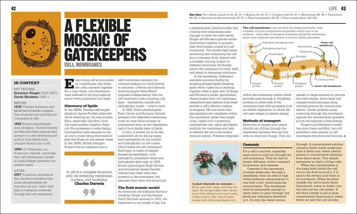 The%20Biology%20Book:%20Big%20Ideas%20Simply%20Explained%20Hardcover%20-%20Image%207