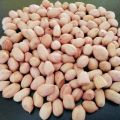 Peanuts - 1 Kg India China Badam. 