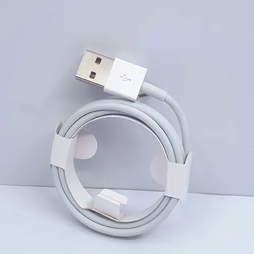 iPhone%20X%20Charger%20AC%20Power%20Adapter%20with%20USB%20Lightning%20Data%20Charging%20Cable%20For%20iPhone%20x.8.7.7plus%206.6s.5S.5%202pin%20Plug%20-%20Image%206