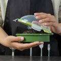 Avocado Storage Box Kitchen Food Space Saving Container Vegetable Organizer Reusable Plastic Fruit Vegetable Green Containers.