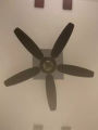 GFC Future Model 56 INCH PAKISTANI CELLING FAN.