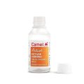 Camel Artist Picture Varnish – 100 ml, for Oil Color Painting.
