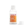Camel Artist Picture Varnish – 100 ml, for Oil Color Painting. 