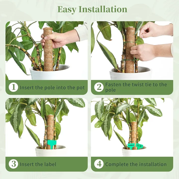 Coco%20Pole-Cocopeat%20Stick%20for%20indoor%20Plant%201%20pcs%2036%20Inchi%20-%20Image%203