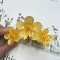 Fashion Gradient Color Egg Flower Hair Clip Simple Style Hair Accessories Shark Clip Transparent Headwear Flower Shape Claw Clip. 