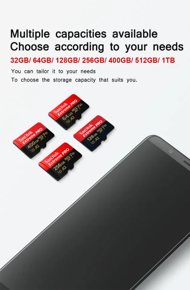 Scheda SanDisk Extreme MicroSD 256GB &ndash; Per GoPro Hero 12/11/10/9/8, 4K U3, Skydiving